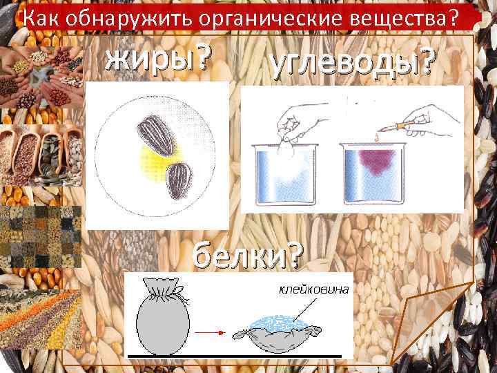 Как обнаружить органические вещества? жиры? углеводы? белки? 