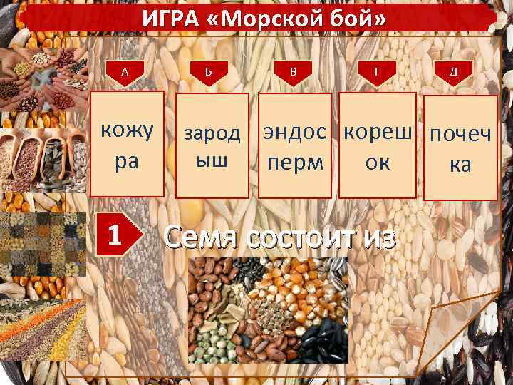 ИГРА «Морской бой» А кожу ра 1 Б В Г Д зарод эндос кореш