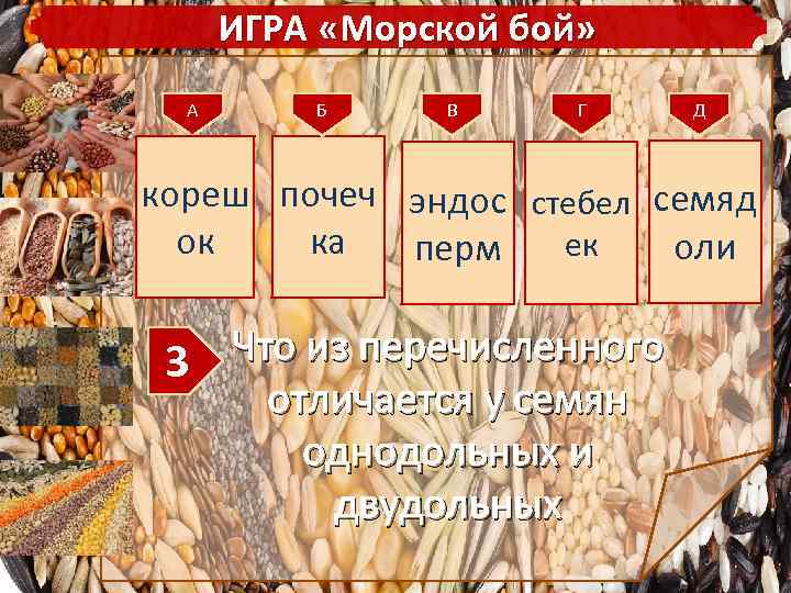 ИГРА «Морской бой» А Б В Г Д кореш почеч эндос стебел семяд ок