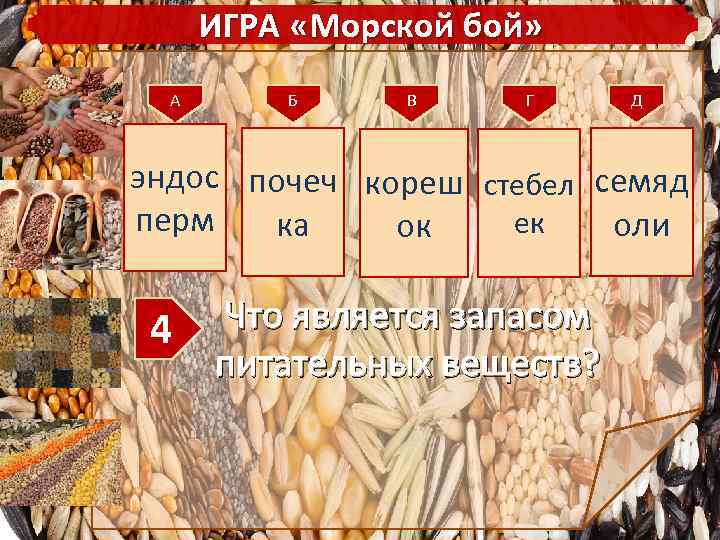 ИГРА «Морской бой» А Б В Г Д эндос почеч кореш стебел семяд перм