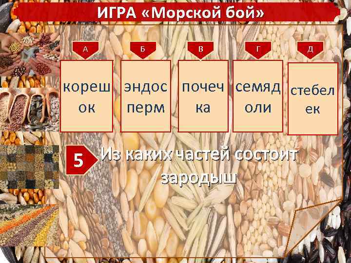 ИГРА «Морской бой» А Б В Г Д кореш эндос почеч семяд стебел ок