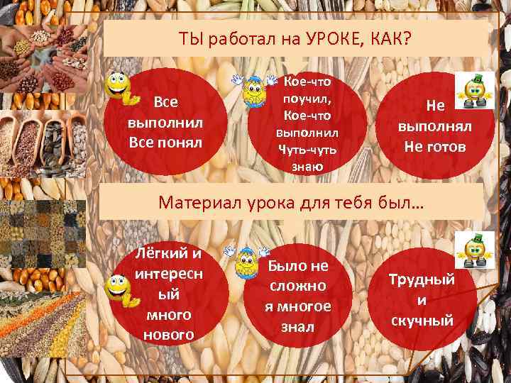 ТЫ работал на УРОКЕ, КАК? Все выполнил Все понял Кое-что поучил, Кое-что выполнил Чуть-чуть