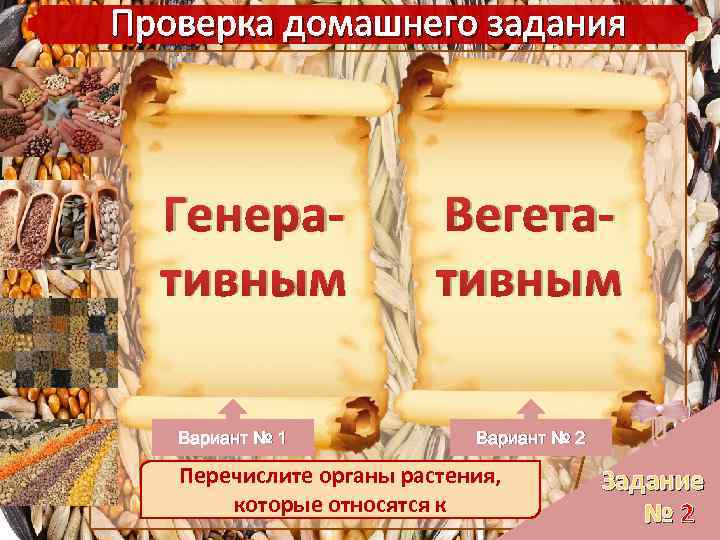 Проверка домашнего задания Генеративным Вариант № 1 Вегетативным Вариант № 2 Перечислите органы растения,