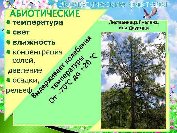 Экологические факторы АБИОТИЧЕСКИЕ Вы де рж О т и т ем ва -7 п