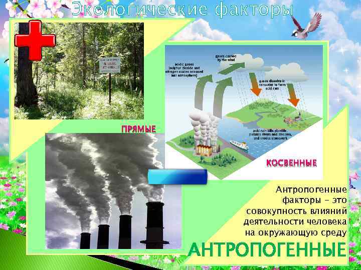Примеры антропогенного воздействия на окружающую среду