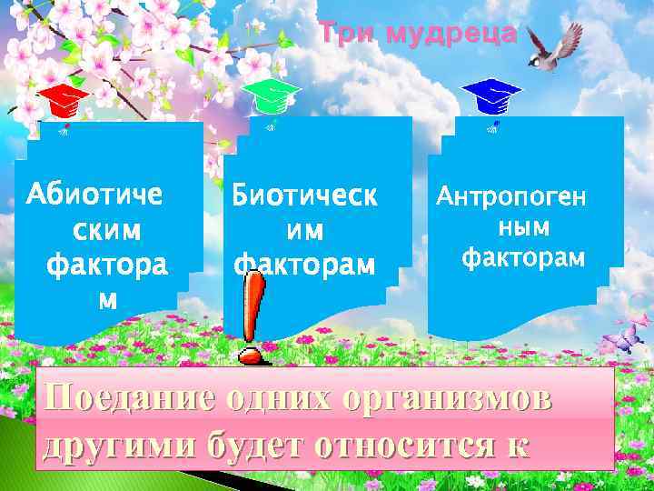 Три мудреца Абиотиче ским фактора м Биотическ им факторам Антропоген ным факторам Поедание одних