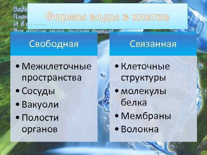 Формы воды в клетке Свободная • Межклеточные пространства • Сосуды • Вакуоли • Полости