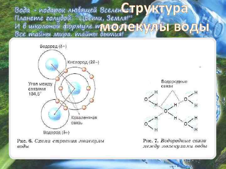 Структура молекулы воды 