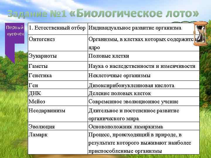 Задание № 1 «Биологическое лото» Время Первый 1. Естественный отбор Индивидуальное развитие организма выполнения