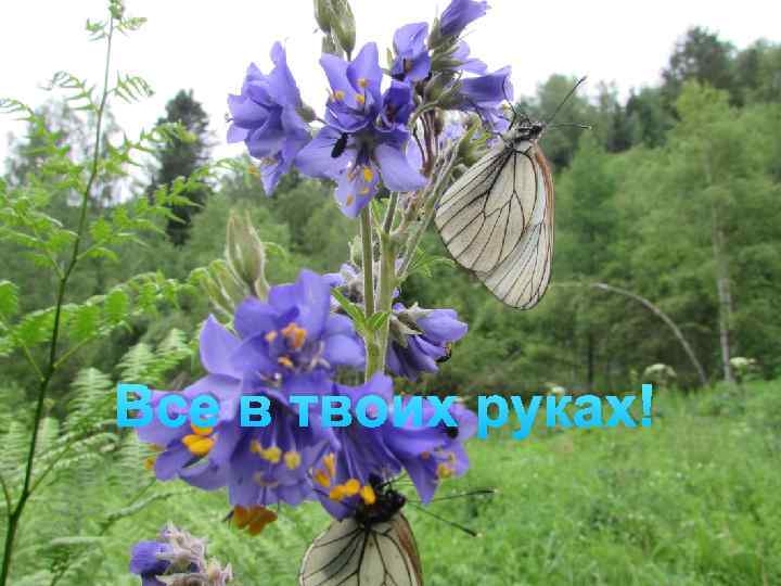 Все в твоих руках! 