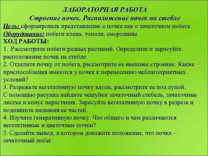 ЛАБОРАТОРНАЯ РАБОТА Строение почек. Расположение почек на стебле Цель: сформировать представление о почке как