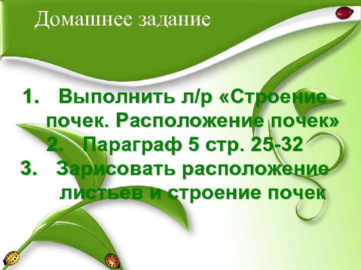 Домашнее задание 1. Выполнить л/р «Строение почек. Расположение почек» 2. Параграф 5 стр. 25