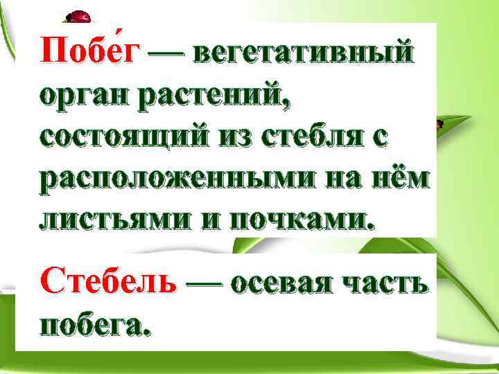 Побе г — вегетативный орган растений, состоящий из стебля с расположенными на нём листьями