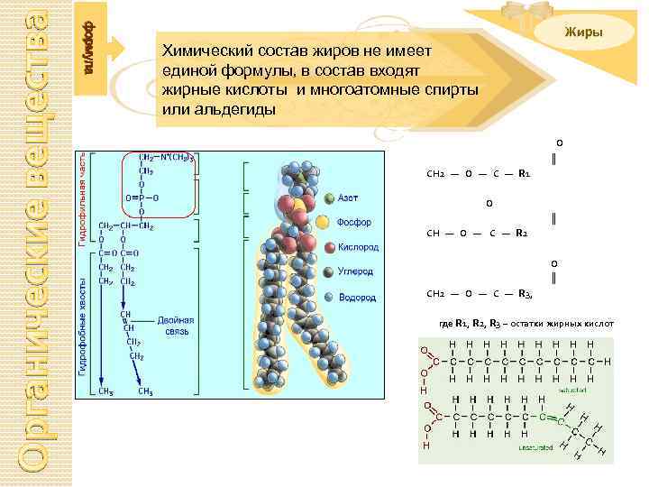 Состав жиров отражается схемой