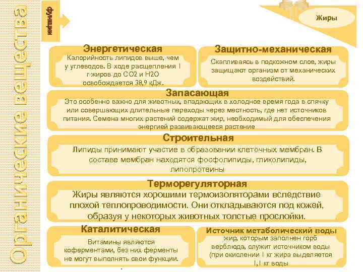 Органические вещества функции Жиры Энергетическая Калорийность липидов выше, чем у углеводов. В ходе расщепления
