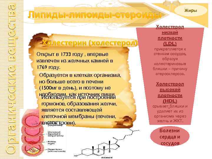 Органические вещества Жиры Липиды-липоиды-стероиды Холестерин (холестерол) Открыт в 1733 году , впервые извлечен из