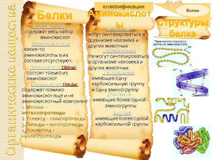 Органические вещества Белки классификация Белки Аминокислот Структуры ы Заменимые могут синтезироваться в белка Полноценные