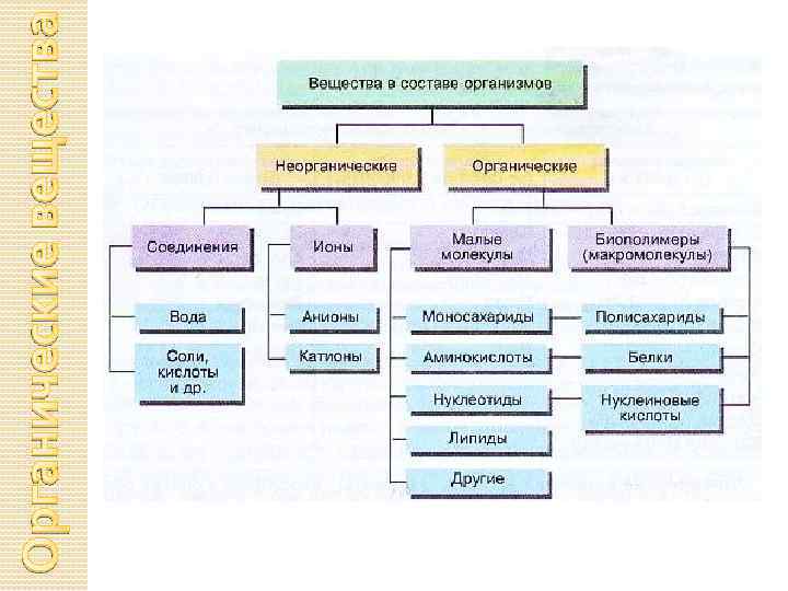 Органические вещества 