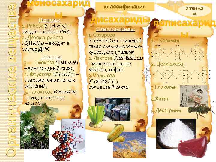 Органические вещества моносахарид ы Пентозы: 1. Рибоза (С 5 Н 10 О 5) –