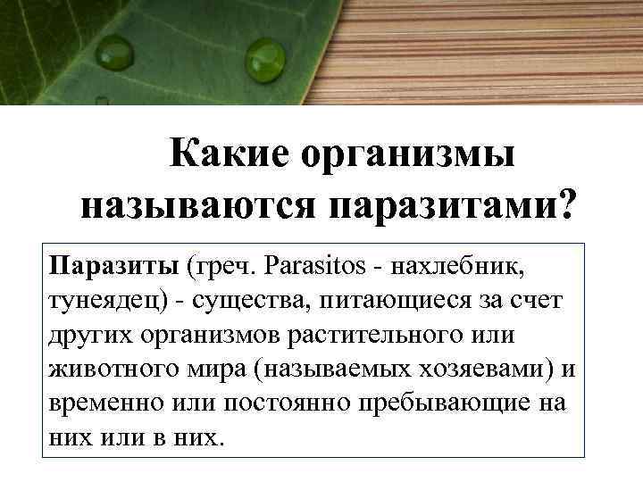 Какие организмы называются паразитами? Паразиты (греч. Parasitos - нахлебник, тунеядец) - существа, питающиеся за