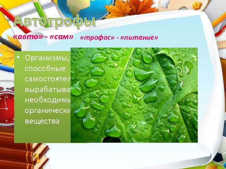 Автотрофы «авто» - «сам» «трофос» - «питание» • Организмы, способные самостоятельно вырабатывать необходимые органические