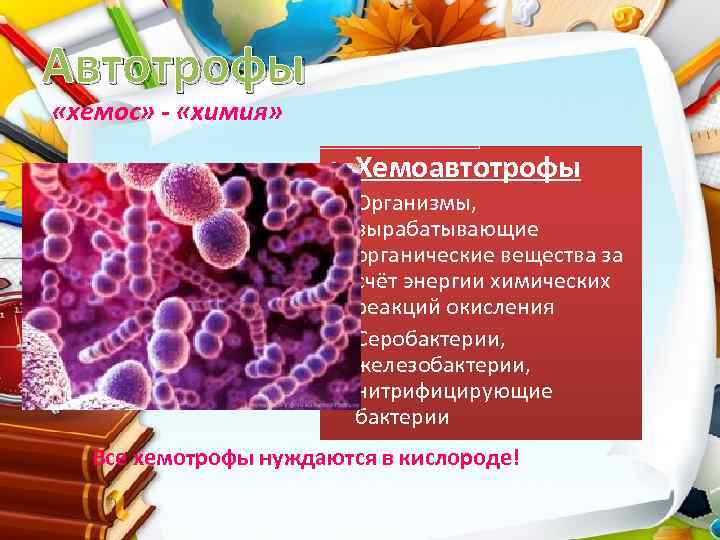Автотрофы «хемос» - «химия» • Хемоавтотрофы • Организмы, вырабатывающие органические вещества за счёт энергии