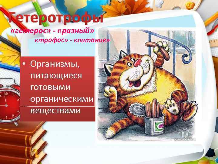 Гетеротрофы «гетерос» - «разный» «трофос» - «питание» • Организмы, питающиеся готовыми органическими веществами 