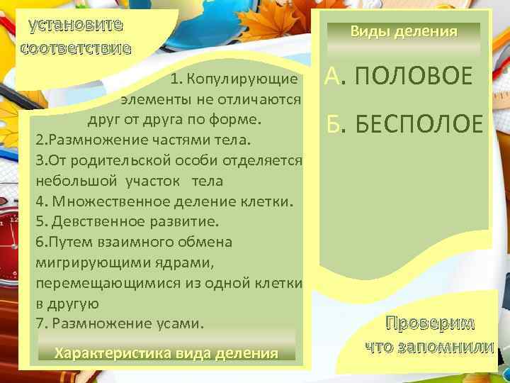 установите соответствие 1. Копулирующие элементы не отличаются друг от друга по форме. 2. Размножение