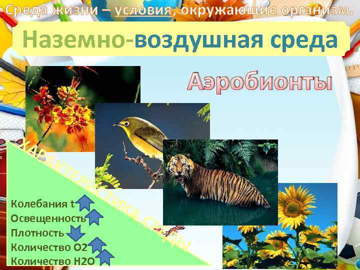 Среда жизни – условия, окружающие организм. Наземно-воздушная среда Аэробионты ХА Р АК ТЕ Р