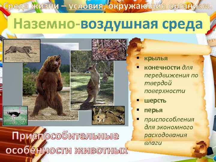 Среда жизни – условия, окружающие организм. Наземно-воздушная среда Приспособительные особенности животных § крылья §