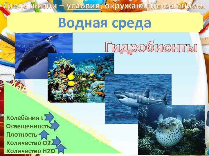 Среда жизни – условия, окружающие организм. Водная среда Гидробионты ХА Р АК ТЕ Р