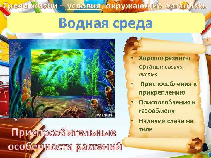 Среда жизни – условия, окружающие организм. Водная среда • Хорошо развиты органы: корень, листья