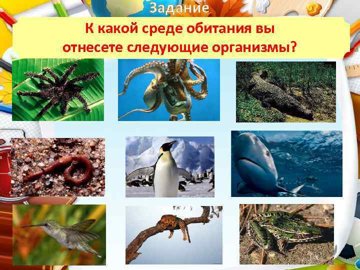 Задание К какой среде обитания вы отнесете следующие организмы? 