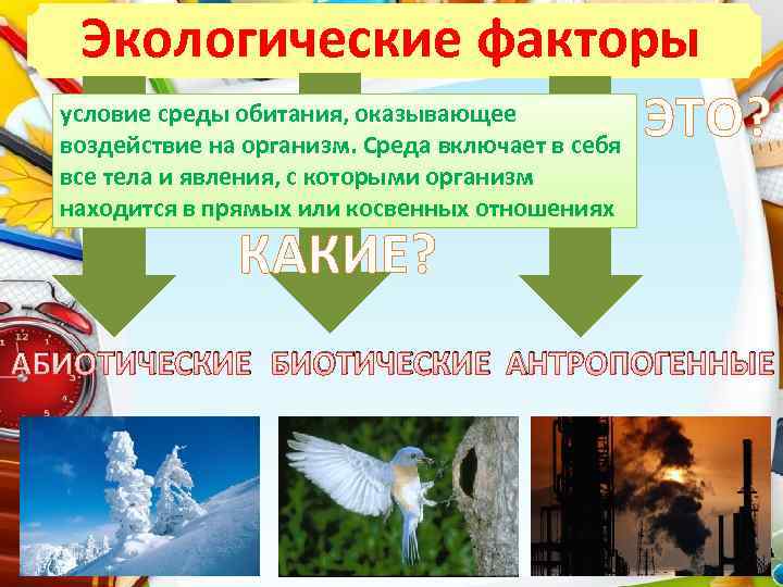 Экологические факторы условие среды обитания, оказывающее ЭТО? воздействие на организм. Среда включает в себя