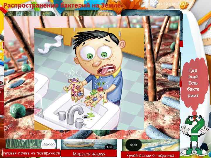 Распространение бактерий на Земле Лесная почва на поверхности Непроветренная комната Лесная почва глубже 1