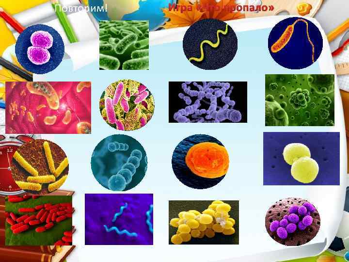 Повторим! Игра «Что пропало» 