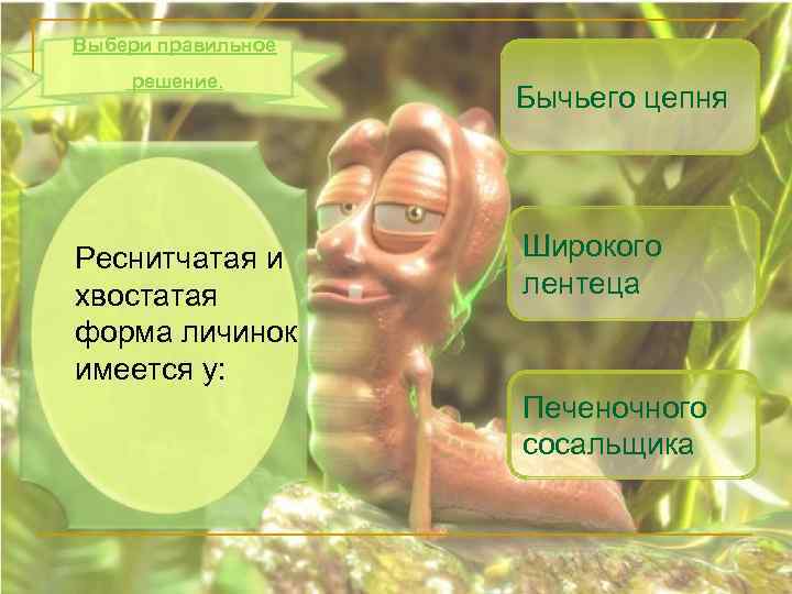 Выбери правильное решение. Реснитчатая и хвостатая форма личинок имеется у: Бычьего цепня Широкого лентеца