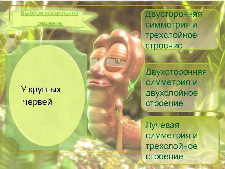 Выбери правильное решение. У круглых червей Двусторонняя симметрия и трехслойное строение Двухсторонняя симметрия и