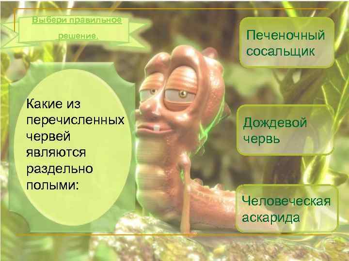 Выбери правильное решение. Какие из перечисленных червей являются раздельно полыми: Печеночный сосальщик Дождевой червь