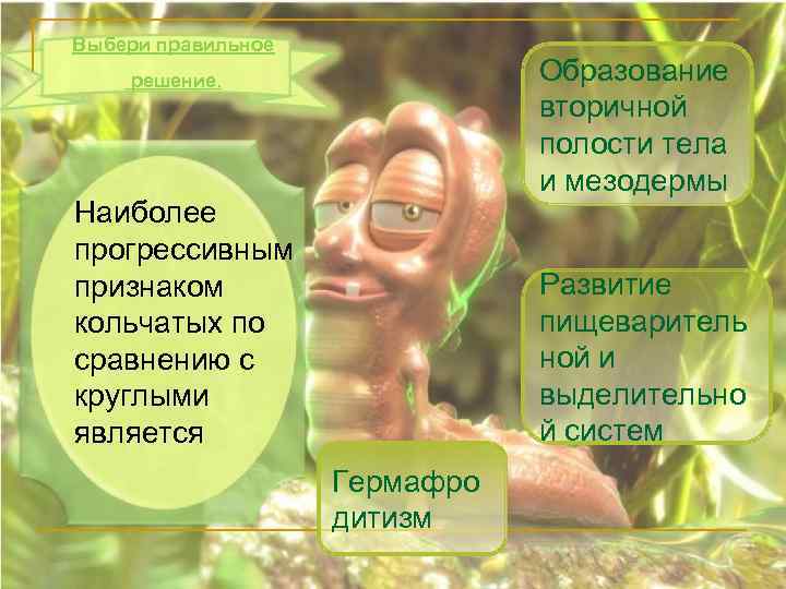 Выбери правильное Образование вторичной полости тела и мезодермы решение. Наиболее прогрессивным признаком кольчатых по