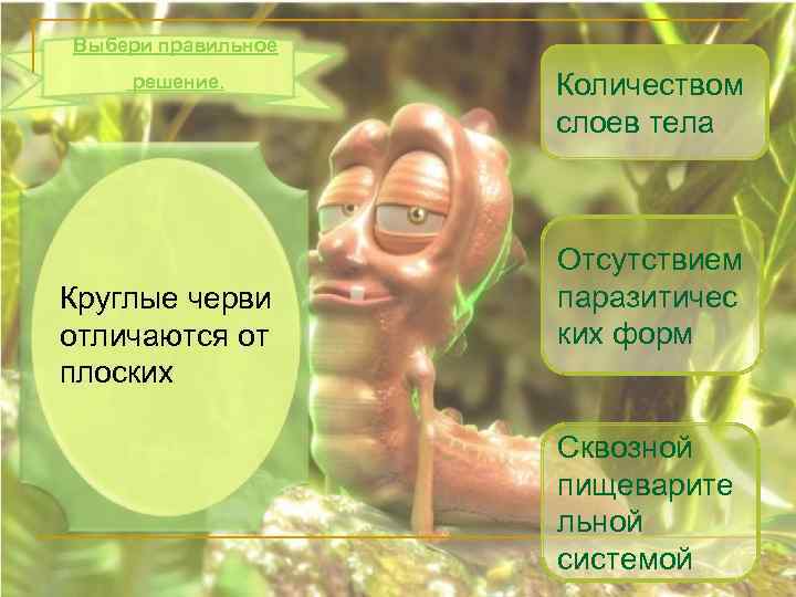 Выбери правильное решение. Круглые черви отличаются от плоских Количеством слоев тела Отсутствием паразитичес ких