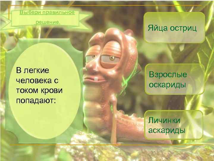 Выбери правильное решение. В легкие человека с током крови попадают: Яйца остриц Взрослые оскариды