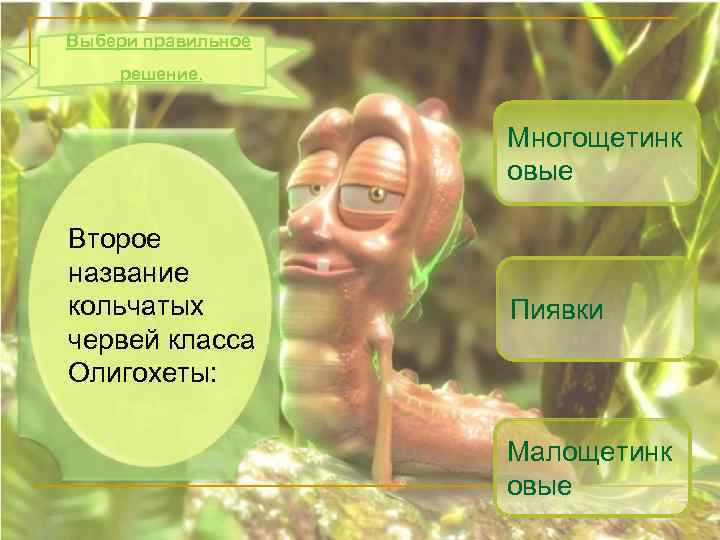 Выбери правильное решение. Многощетинк овые Второе название кольчатых червей класса Олигохеты: Пиявки Малощетинк овые