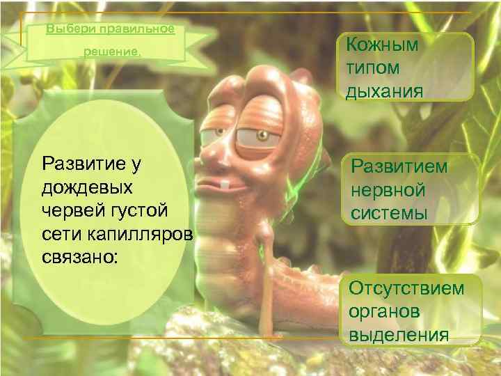 Выбери правильное решение. Развитие у дождевых червей густой сети капилляров связано: Кожным типом дыхания