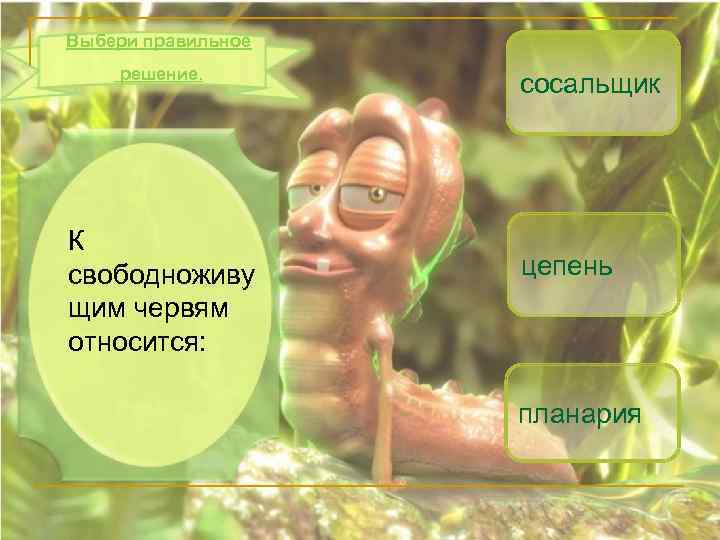 Выбери правильное решение. К свободноживу щим червям относится: сосальщик цепень планария 