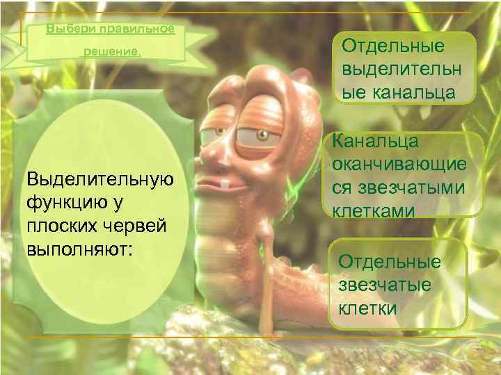 Выбери правильное решение. Выделительную функцию у плоских червей выполняют: Отдельные выделительн ые канальца Канальца