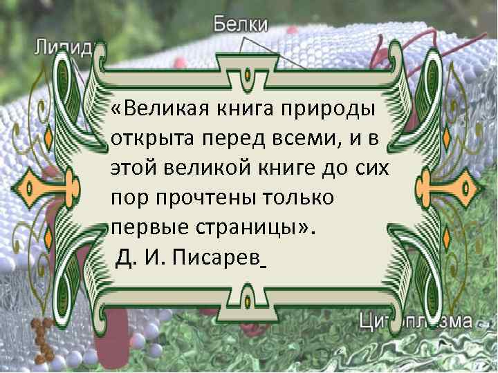  «Великая книга природы открыта перед всеми, и в этой великой книге до сих