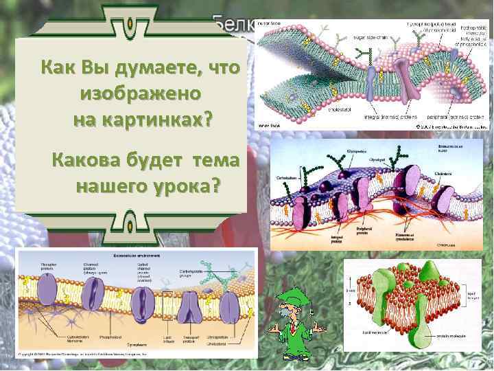 Как Вы думаете, что изображено на картинках? Какова будет тема нашего урока? 