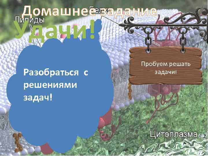 Домашнее задание Удачи! Разобраться с решениями задач! Пробуем решать задачи! 