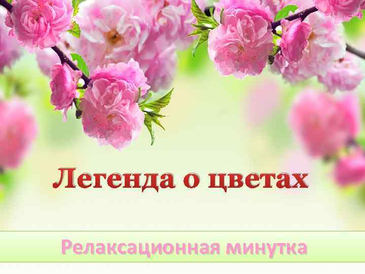 Легенда о цветах Релаксационная минутка 